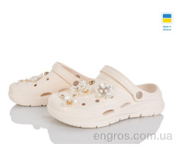 Кроксы Golden Lion